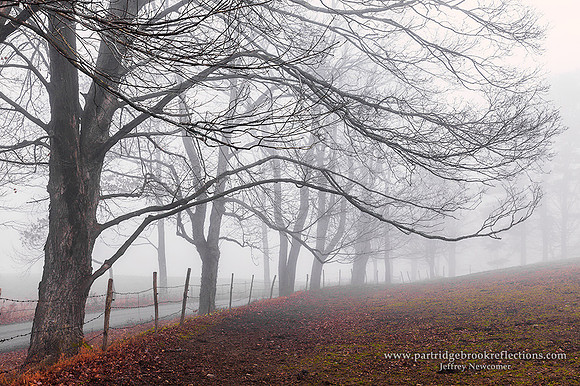 Gray Pasture, Chesterfield, NH
