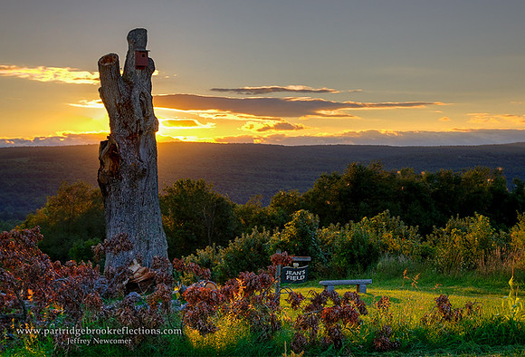 130903RedOakSunsetWalpoleNH