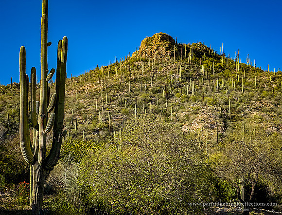 230312VentanaCanyonResortTucsonAz