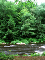 040728AshuelotRiverSurry1