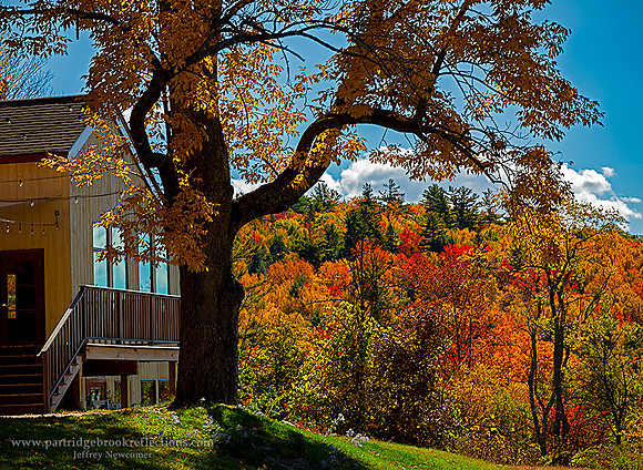 221009HillsideColorApleHillNelsonNH