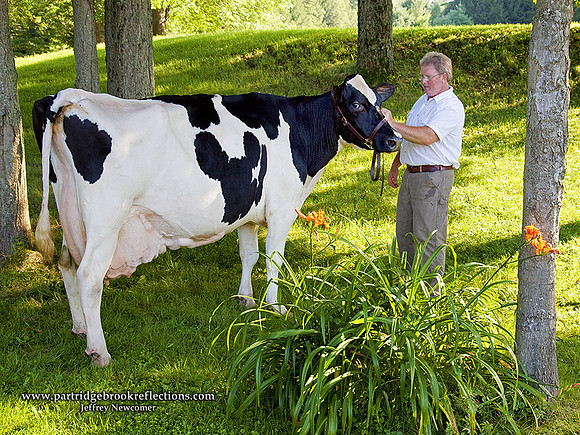 090803RachelInLiliesStonewallFarmKeeneNH