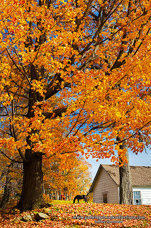 Autumn Hill, Chesterfield, NH