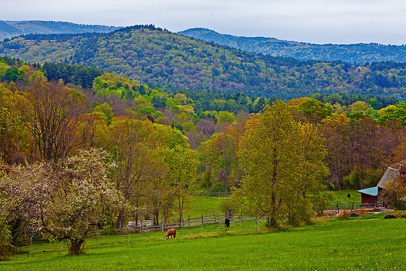 Fresh Green, Brattleboro, Vt