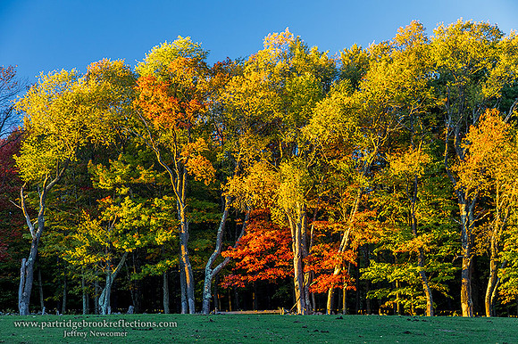 161010EveningColorChesterfieldNH