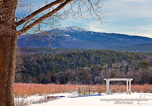 110115MountainArborTroyNHC