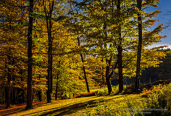 251018RoadsEndGladeChesterfieldNH
