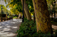 251022PaseoDelPradoMadridSp