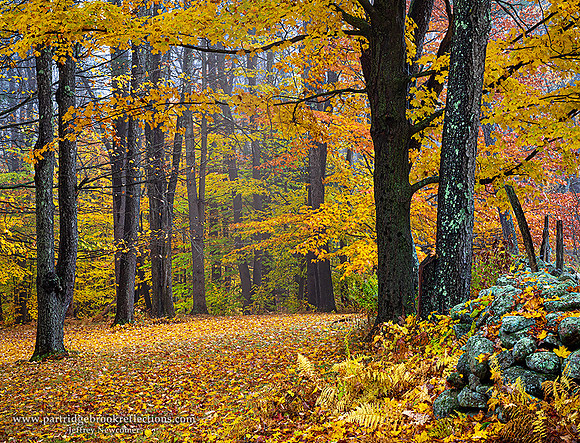 221025OctoberWallChesterfieldNH