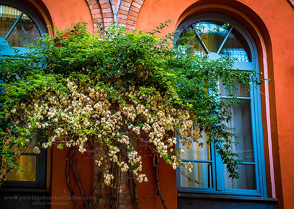 Hanging Garden Rome