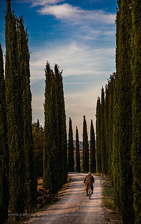 170928VinyardRoadLyonelCousinsCupanVineyardTuscanyItaly