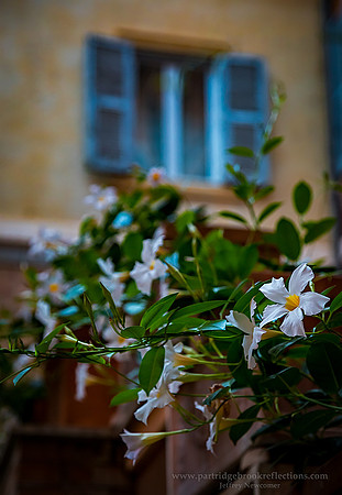 Below the Window Rome