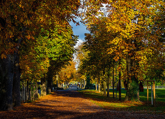 231027CathedralGardenSpeyerDe