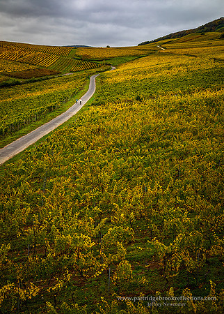 231026AboveTheVineyardDudesheimDe