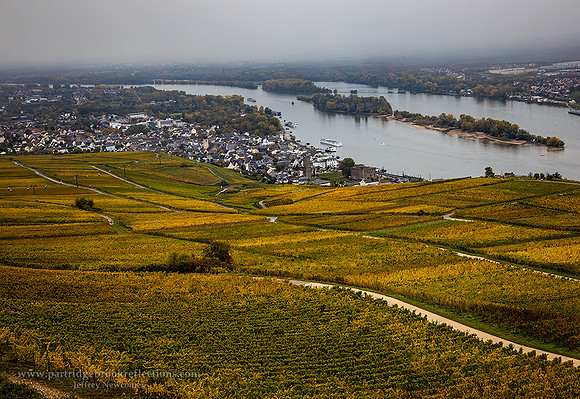 231026RudesheimValleyDe