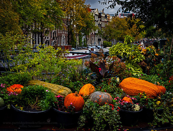 231021AutumnProduceAmsterdamNe