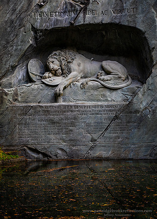 231029SwissGuardMemorialPoolLucernSw