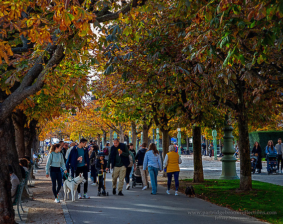 231029Matthias-Luchsinger-PlatzLakeLucerneSw
