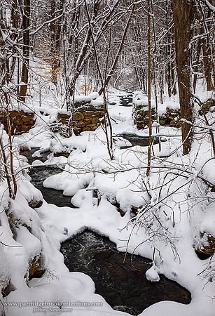 210202PartridgeBrookFrostingSpoffordNH