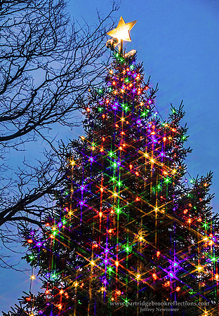 201207ChristmasTreeSparkleKeeneNH