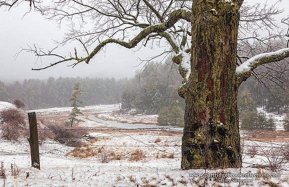 160224EdgeOfTheGaleChesterfieldNH