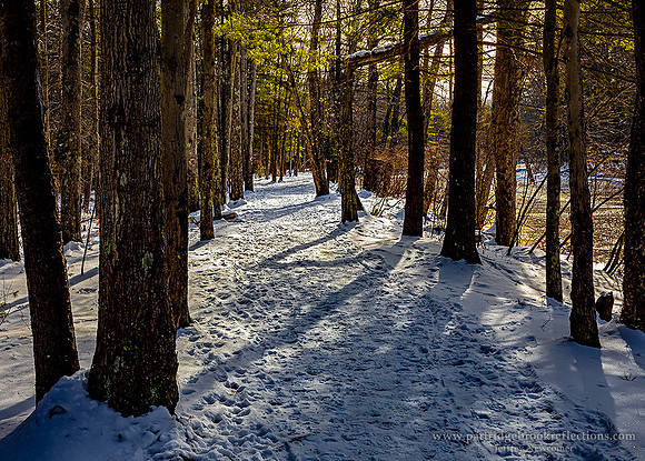 210131JonathanDanielsSnowKeeneNH - Copy