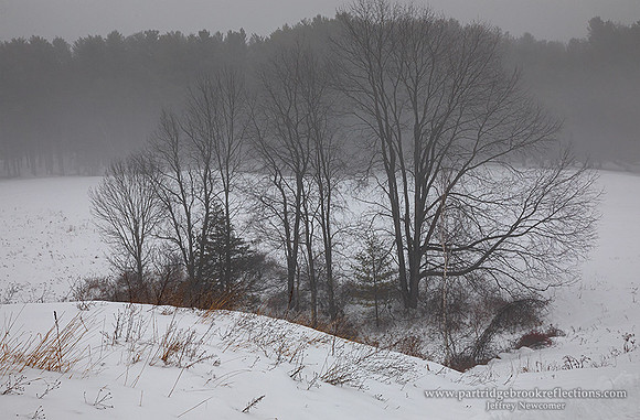 191209RollingWhiteChesterfieldNH