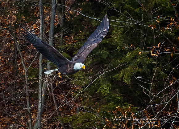 160305CruisingTheRiverChesterfieldNH