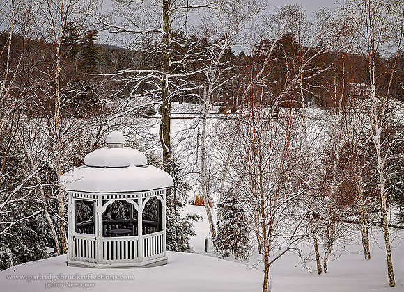 210202FrozenGazeboSpoffordNH