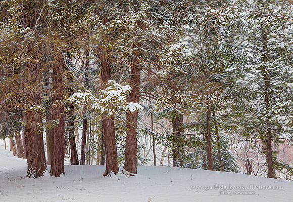 160209HemlockStormSpoffordNH