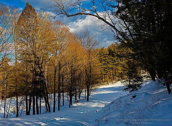 210206GolfCourseTrailSpoffordNH