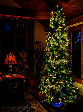 201210HolidayGlowSpoffordNHHDRSparkle