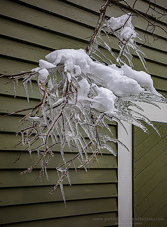 210204IceSpiderSpoffordNH