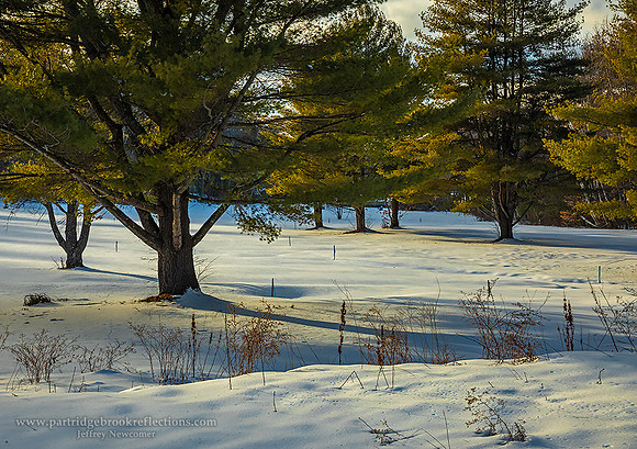 210214WinterGladeSpofforeNH