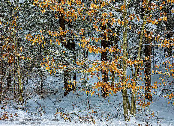 210127WinterBeachChesterfieldNH - Copy