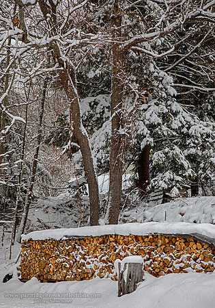210202WinterSupplySpoffordNH