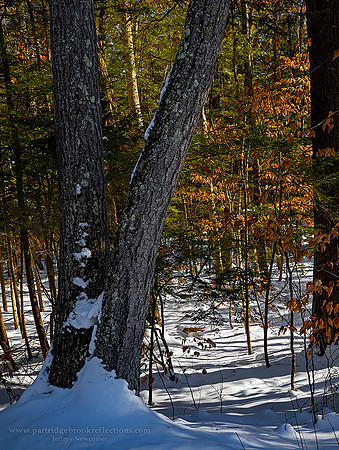 210213WinterSplitSpoffordNH