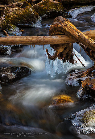 160305PondBrookIclesChesterfieldNH