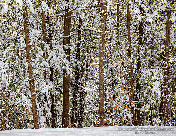 210202FrozenEdgeSpoffordNH