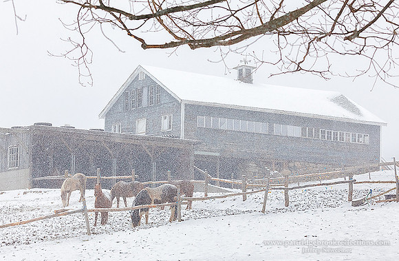 160404StormsHavenChesterfieldNH