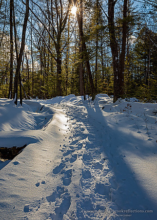 210206SnowshoeTrailSpoffordNH