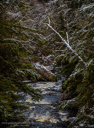 201207WinterGorgeGilsumNH - Copy