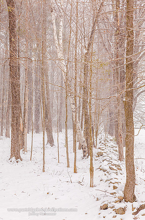 160404WallInTheStormChesterfieldNH