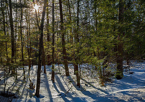 210216FebruarySunSpoffordNH