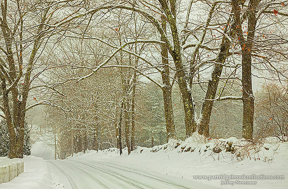 210219SnowyDriveSpoffordNH - Copy