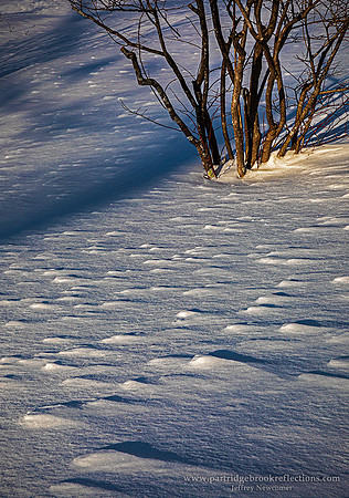210220RipplesSpoffordNH - Copy