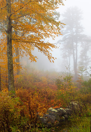 Misty Autumn Morning, Marlborough, New Hampshire