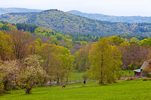 Bonneyvale Road Hillside, Brattleboro, Vt