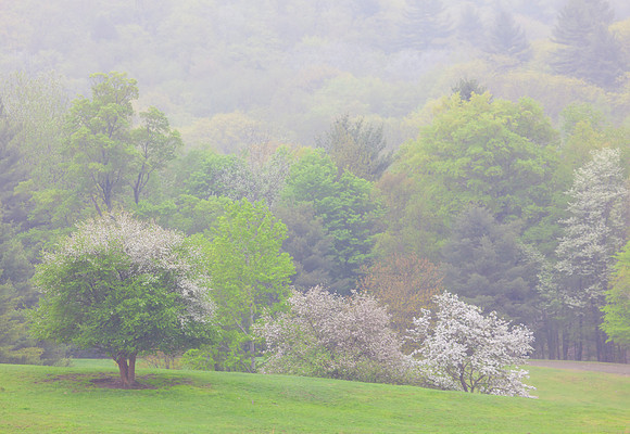 Mist on the hills, Chesterfield, New Hampshire