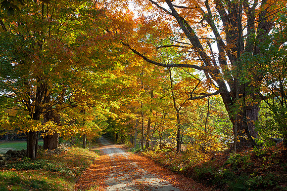 Fall Road, Chester, VT